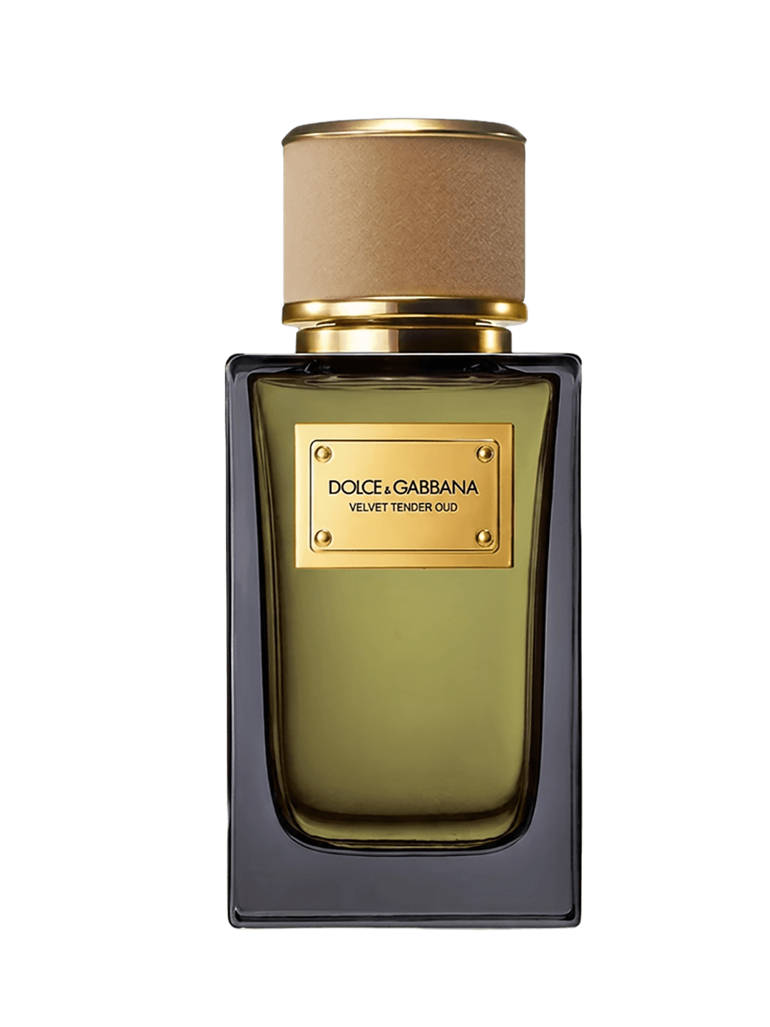DOLCE&GABBANA VELVET TENDER OUD