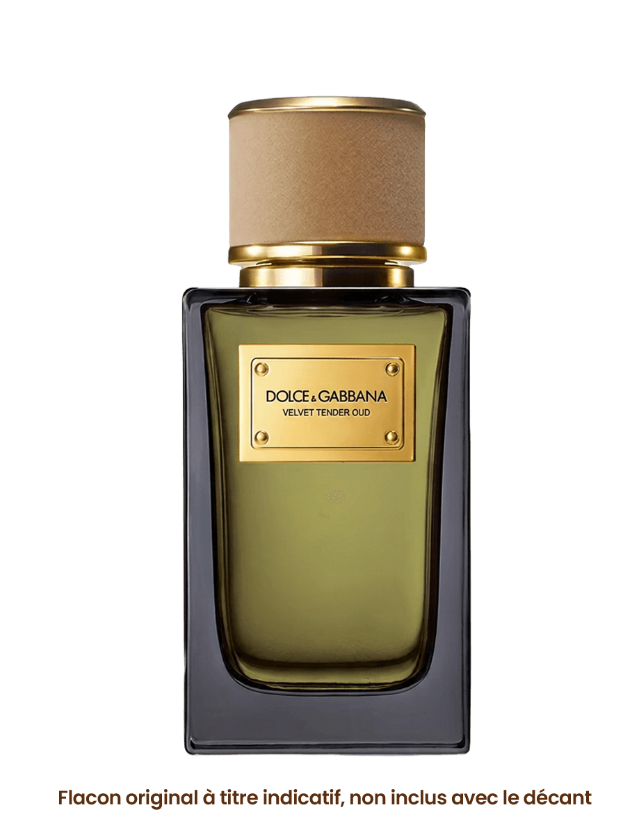 DOLCE&GABBANA VELVET TENDER OUD vue alternative