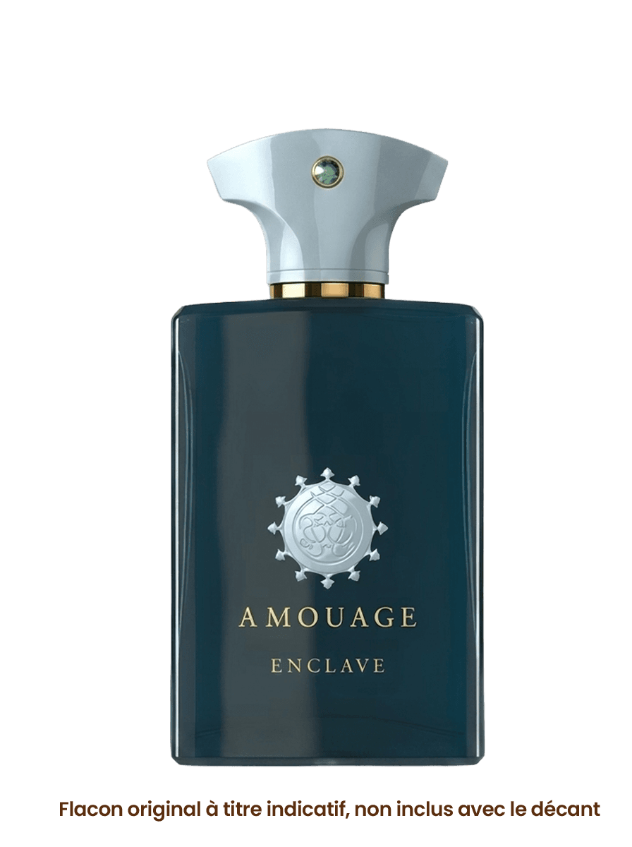 ENCLAVE miniature 2