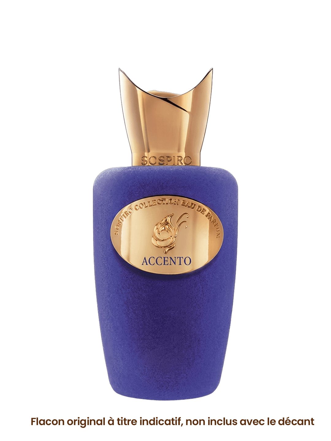 ACCENTO miniature 2
