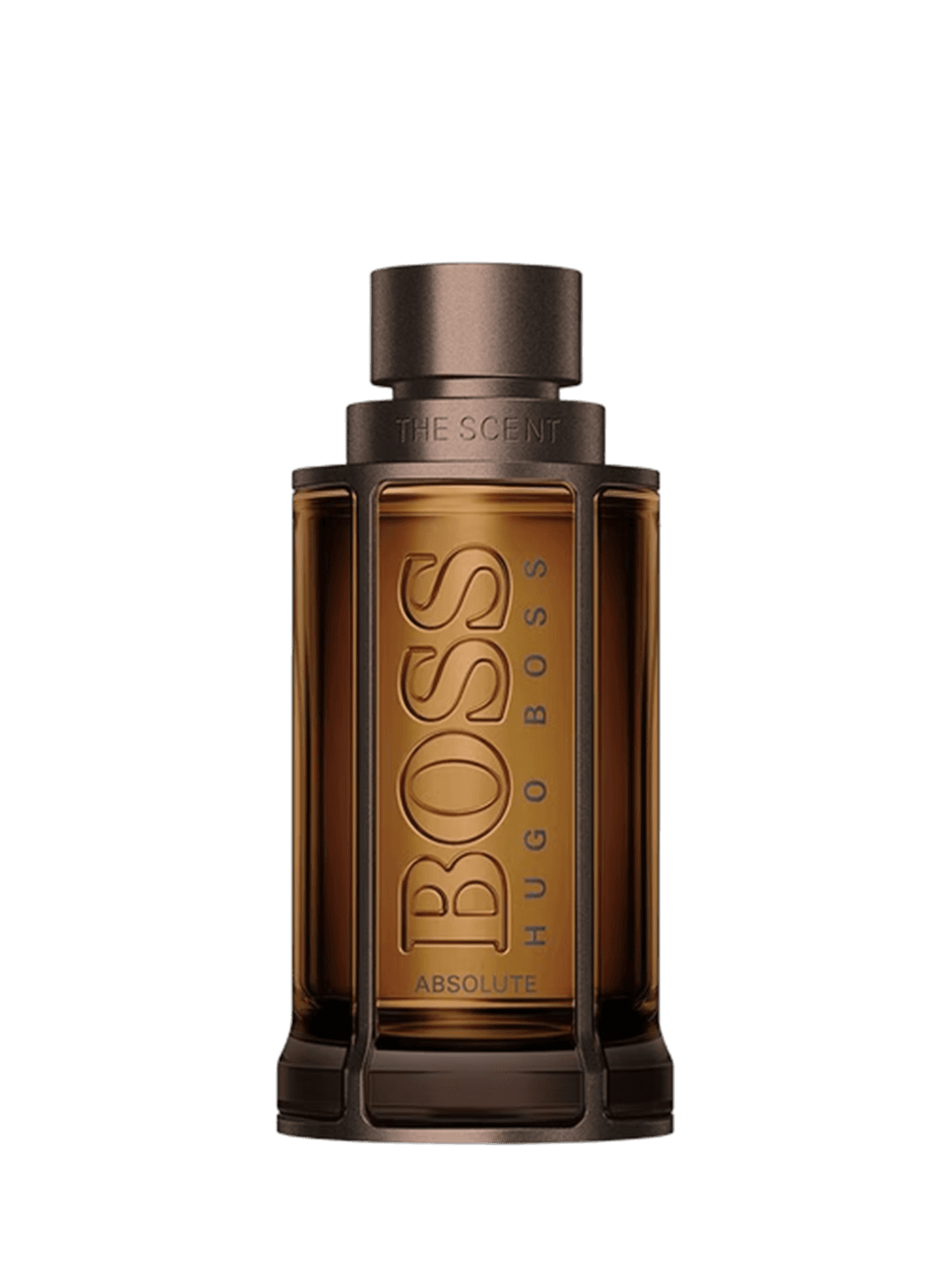 ABSOLUTE THE SCENT - vue 1