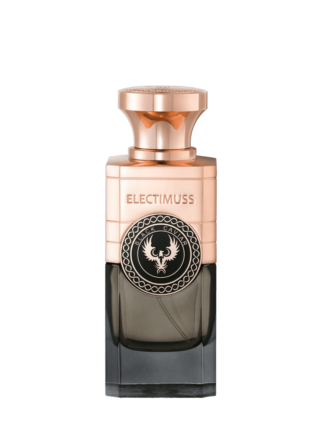 BLACK CAVIAR - vue 1