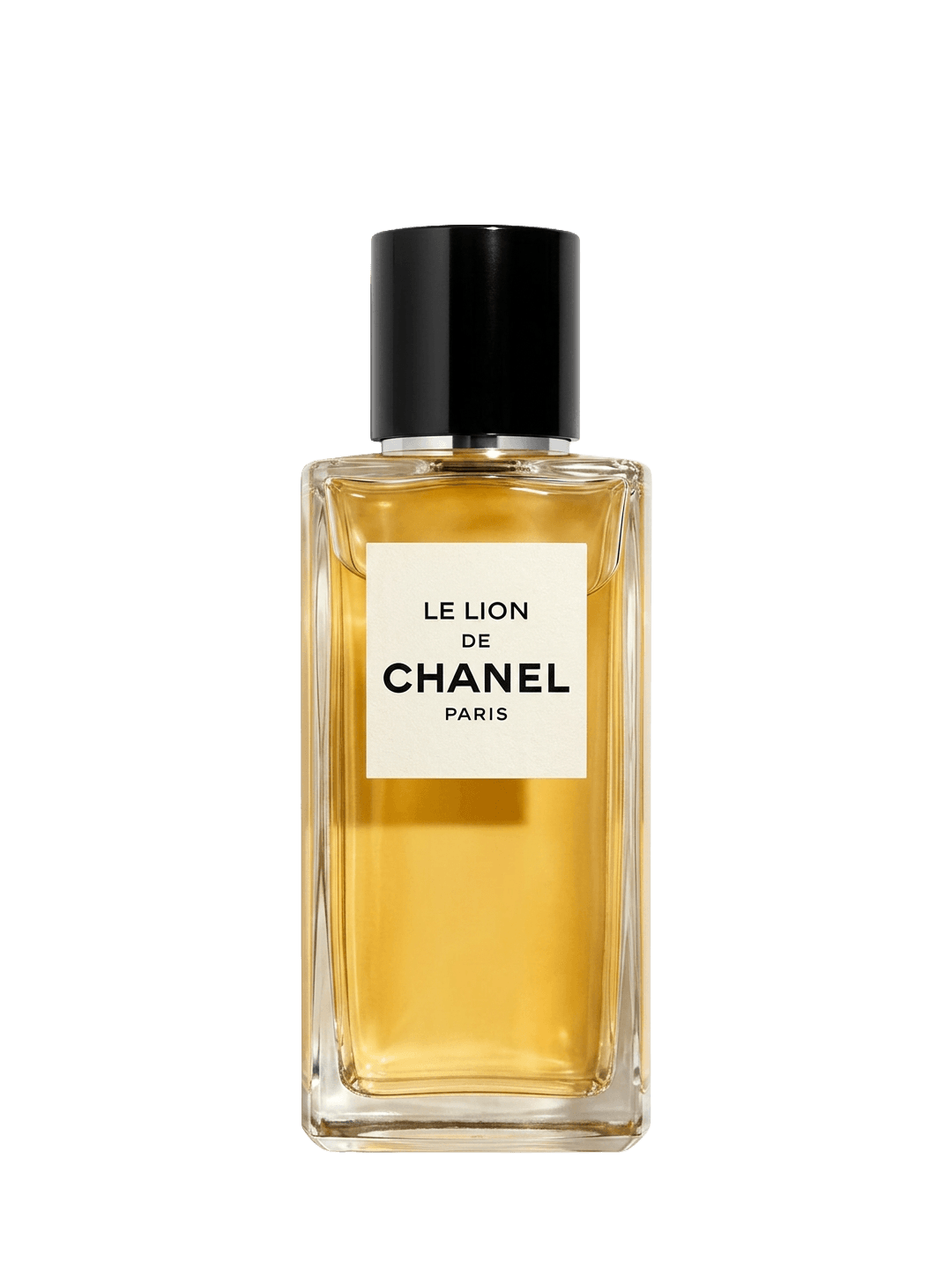 LE LION DE CHANEL - vue 1