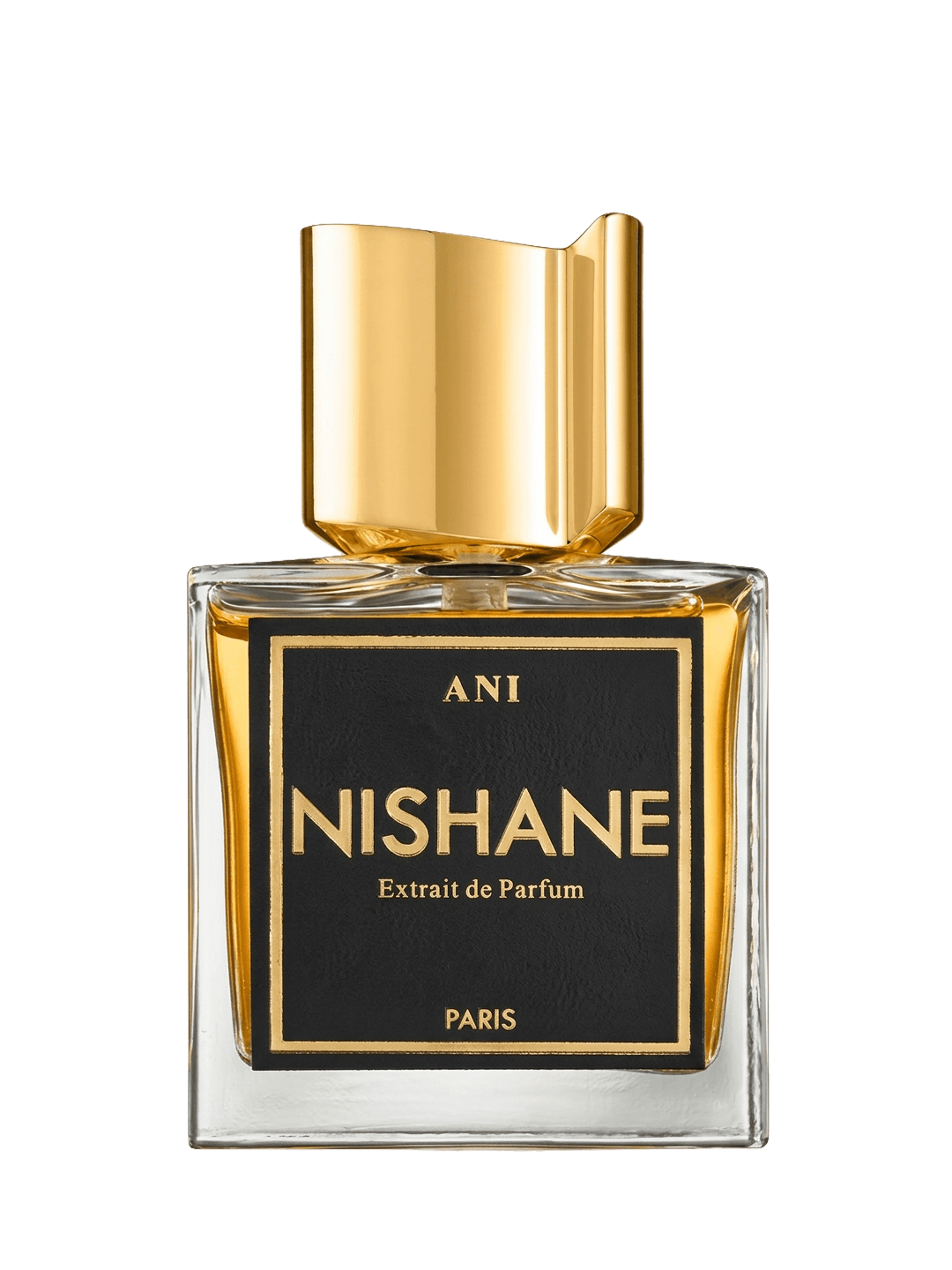 NISHANE ANI - vue 1