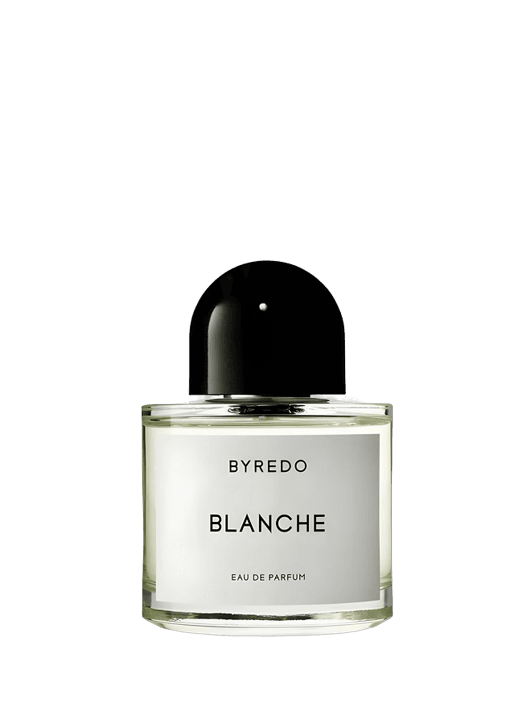 BLANCHE - vue 1