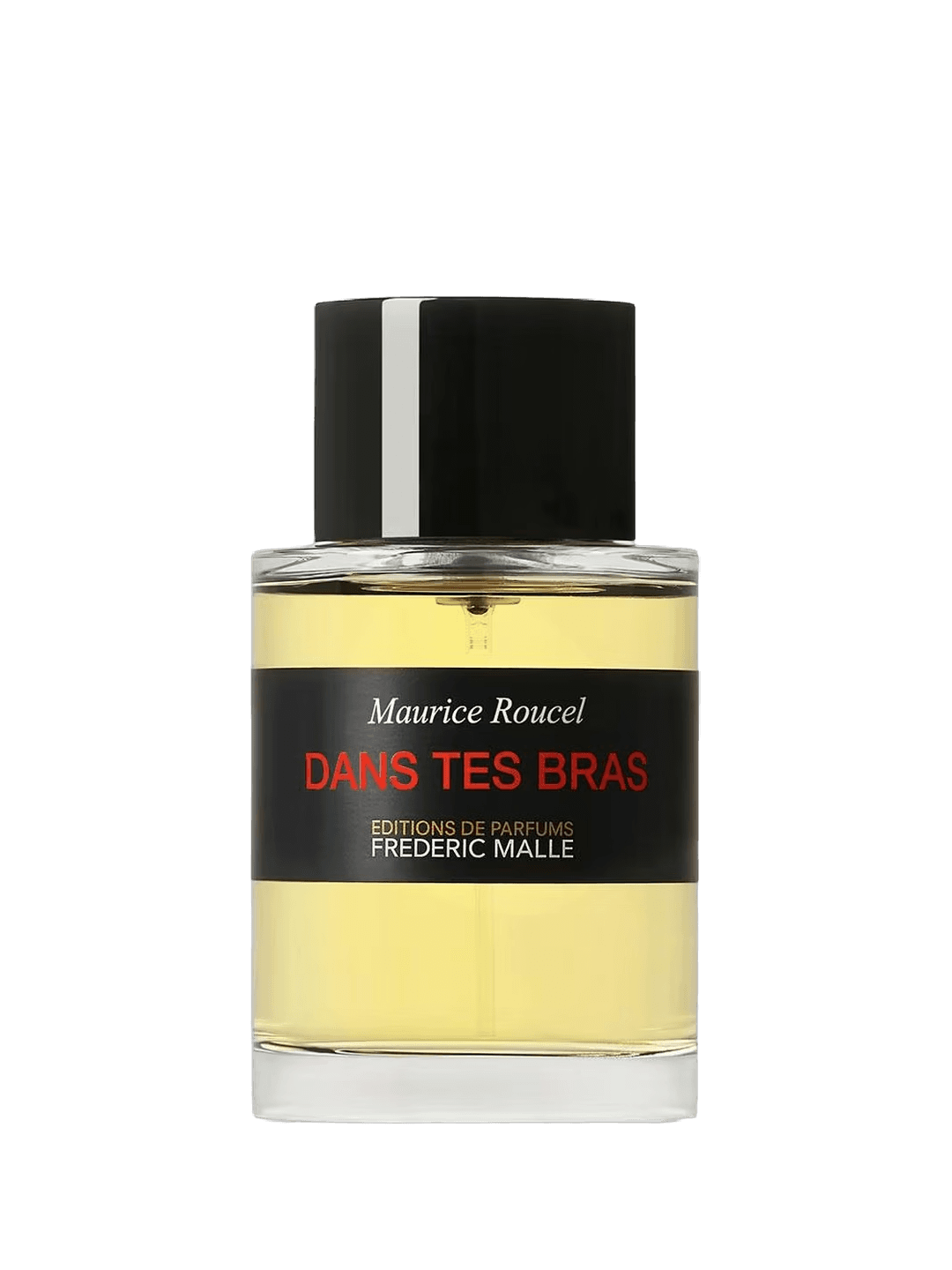 DANS TES BRAS - vue 1