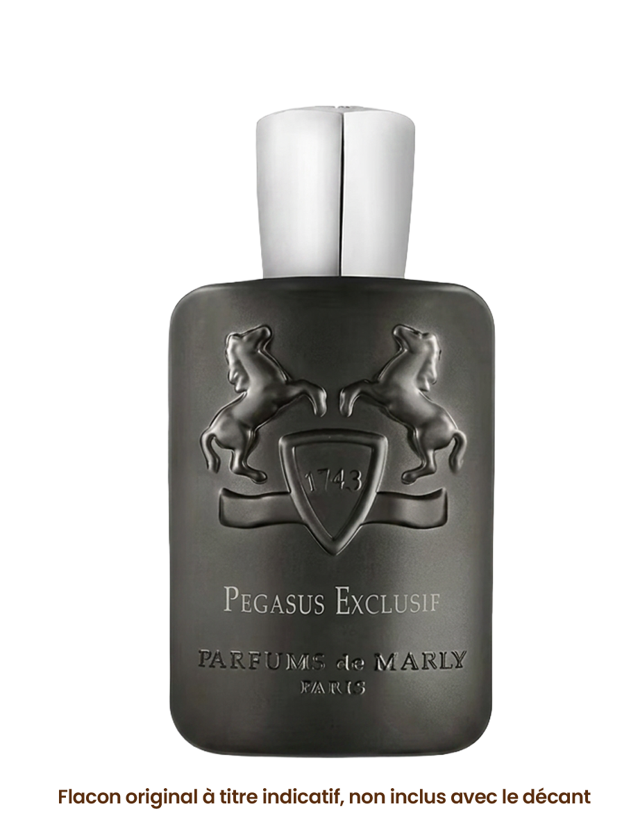 Pegasus Exclusif miniature 2